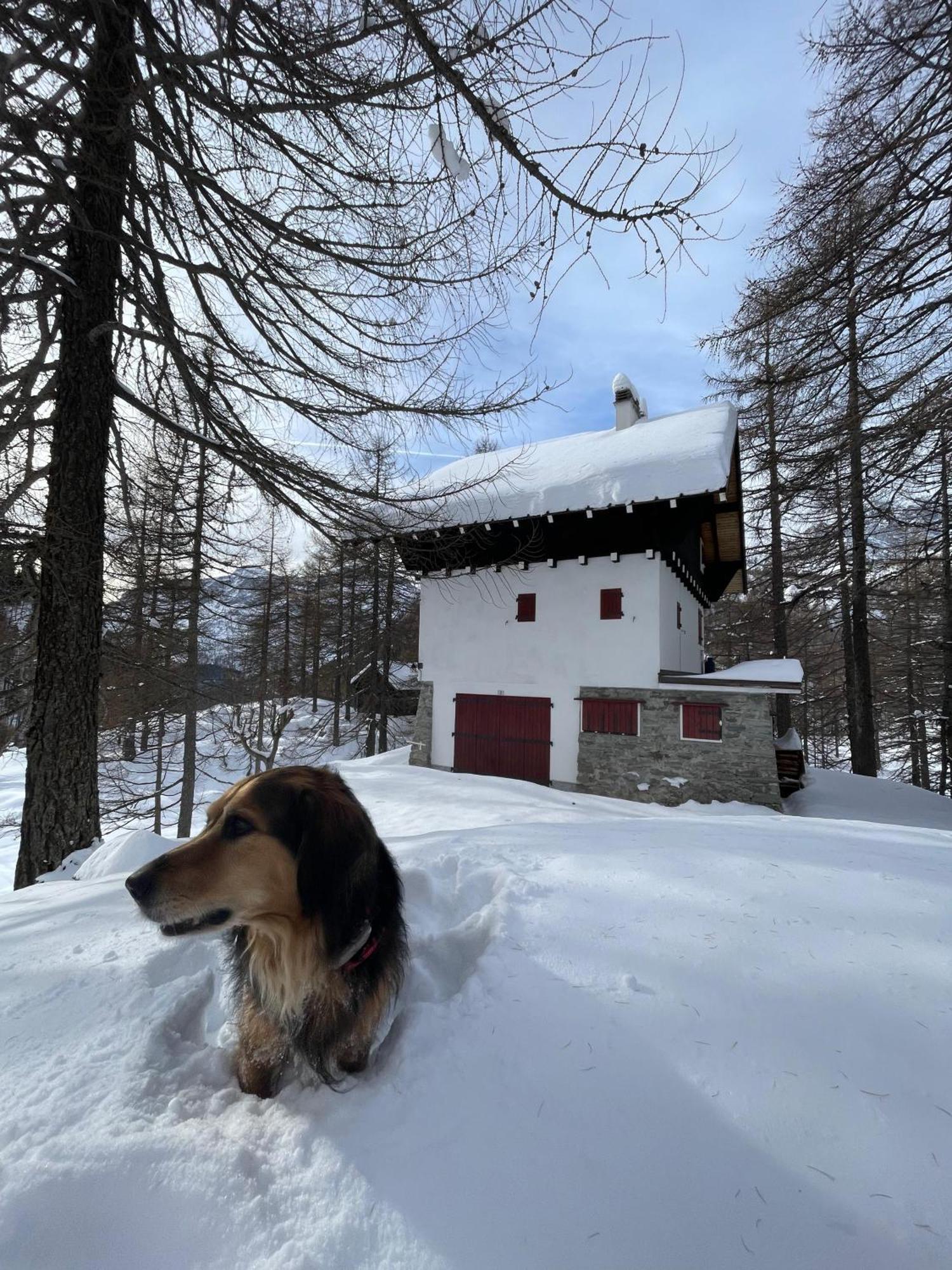 I Larici - Appartamento Per Sognare Alpe Devero Kültér fotó